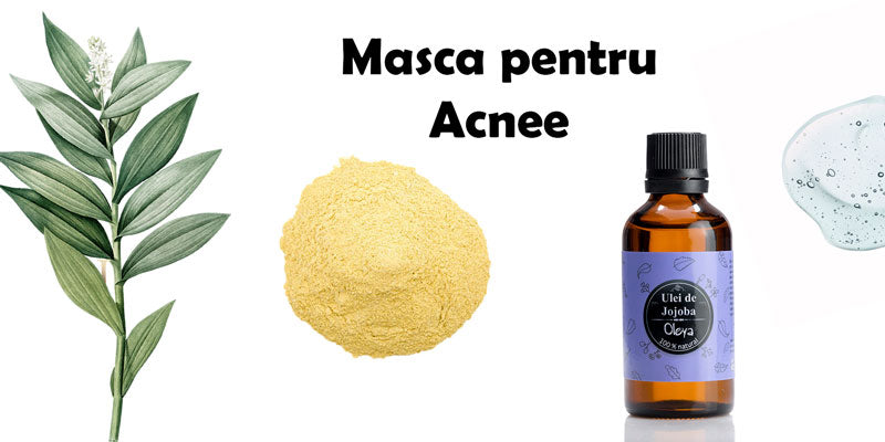 Acnee Vulgara Tratament cu Arbore de Ceai și Jojoba