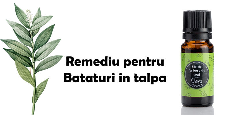 Bataturi in talpa – tratament cu Uleiuri Esentiale