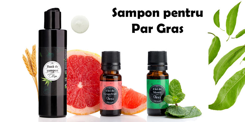 Sampon natural pentru par gras