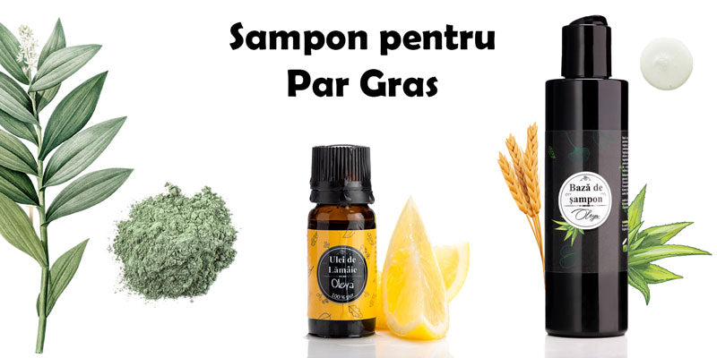 Sampon pentru par gras si matreata cu Argila Verge si Uleiuri pretioase