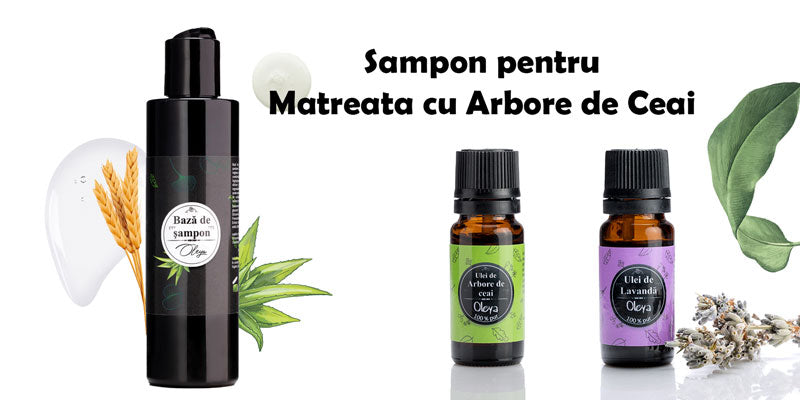Tratament pentru matreata: Sampon cu Lavandă și Arbore de Ceai