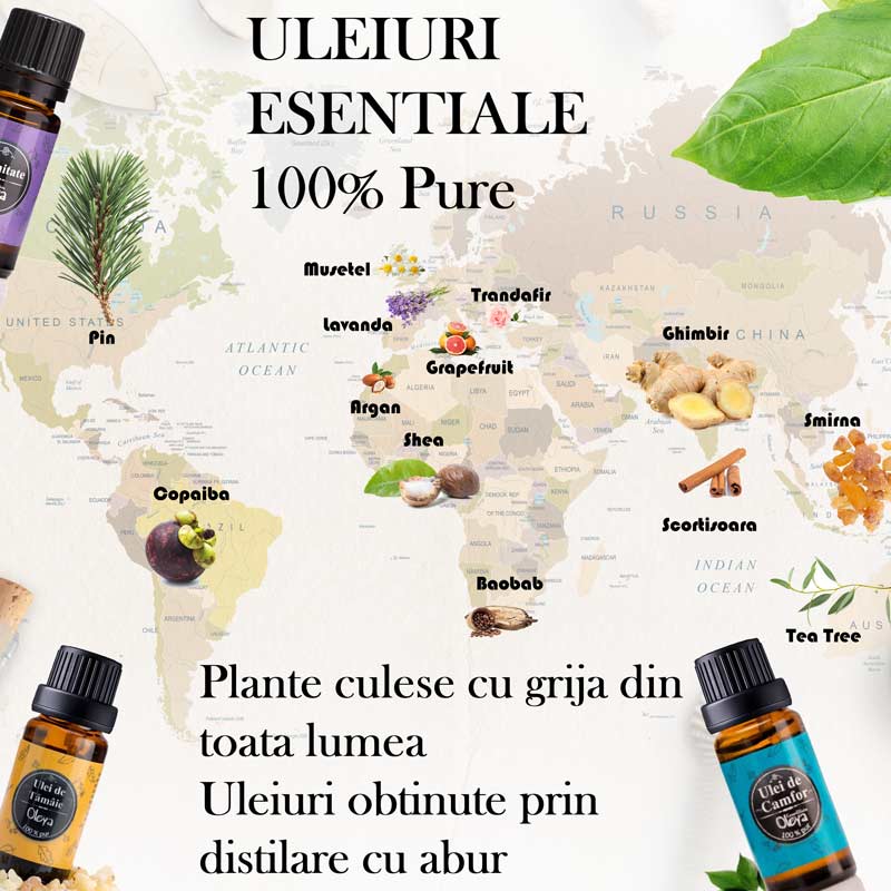 Ulei esential de Mesteacan 100% pur